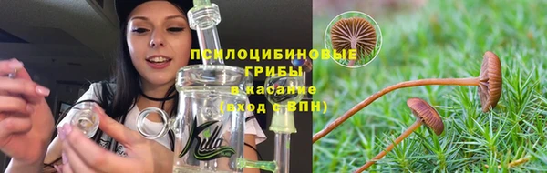 PSILOCYBIN Белоозёрский